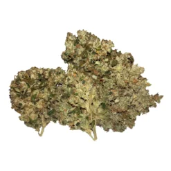 Thumbs Up Brand Craft Snowbud X Afghan Kush