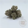North 40 Cannabis Crescendo