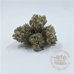 North 40 Cannabis Crescendo