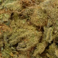 New Arrivals Weed Me Powdered Donuts