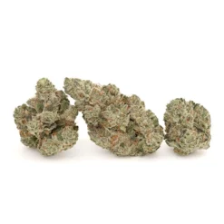 Whistler Cannabis Co. Deja Glue New Arrivals