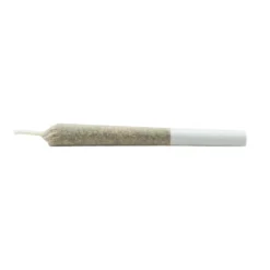 Daily Special Pre-Rolls Js Indica PR 7 X 0.3 G