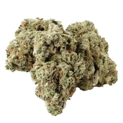 Kolab Project Dark Shadow Haze Sativa