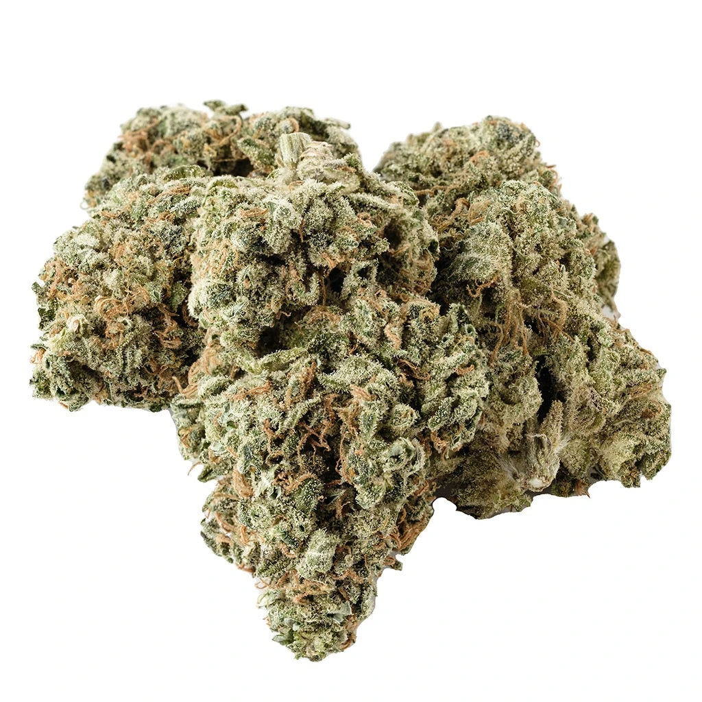 Kolab Project Dark Shadow Haze Sativa 3 Kolab Project Dark Shadow Haze Sativa