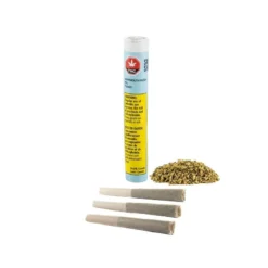 Skosha Dartmouth Kush PR 3 X 0.5 G Pre-Rolls