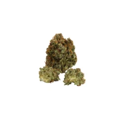 Boaz X Jane West Daytime (Pink Apple Punch)