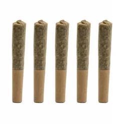Boaz X Jane West Daytime Mini-Joints PR 5 X 0.35 G Pre-Rolls