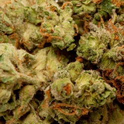 Good Supply Dealer's Pick - Sativa 7 Good Supply Dealer's Pick - Sativa