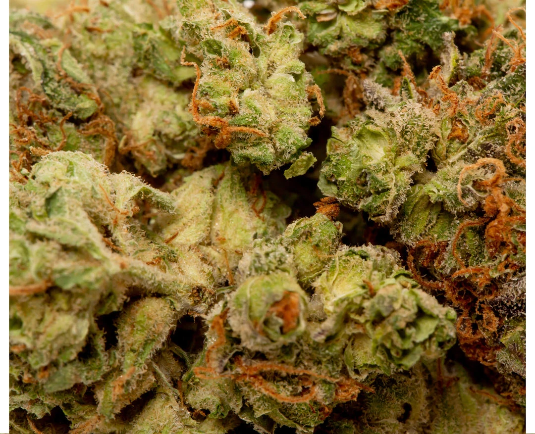 Good Supply Dealer's Pick - Sativa 5 Good Supply Dealer's Pick - Sativa