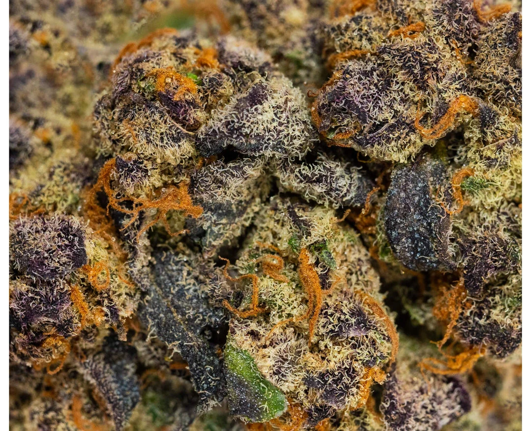 Delta 9 Electric Punch New Arrivals 5 Delta 9 Electric Punch New Arrivals