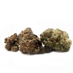 Delta 9 Electric Punch New Arrivals