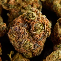 Delta 9 Headbanger New Arrivals