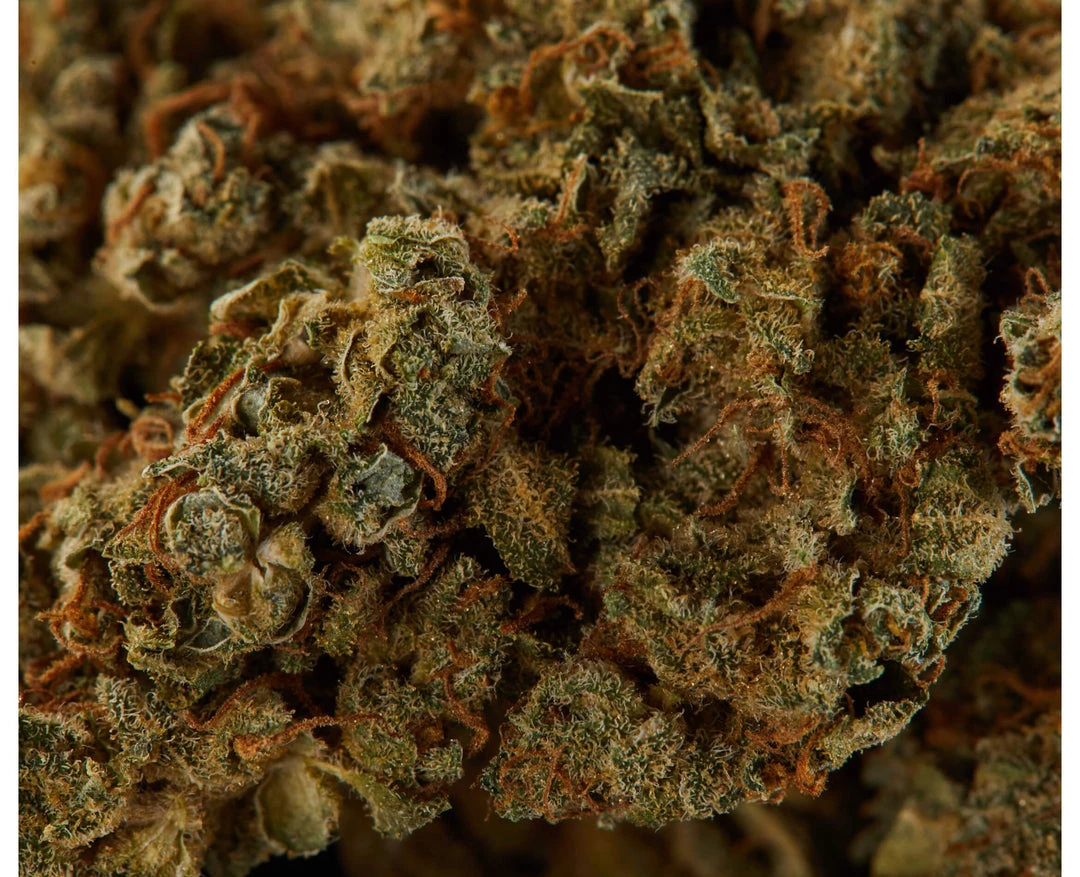 Delta 9 House Hybrid New Arrivals 5 Delta 9 House Hybrid New Arrivals