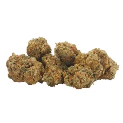 Delta 9 House Sativa