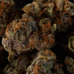 Delta 9 Lava Cake New Arrivals