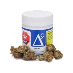 Delta 9 Lava Cake New Arrivals