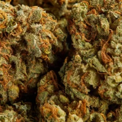 New Arrivals Delta 9 Lemon Meringue