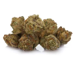 Delta 9 Sinaloa Gold