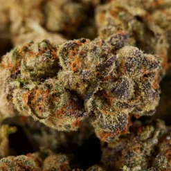 Delta 9 Sinaloa Gold