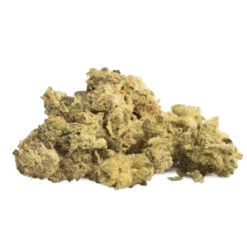 General Admission New Arrivals Desserts And Sweets