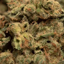 General Admission New Arrivals Desserts And Sweets