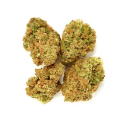 Divvy CBD Black Widow New Arrivals 6 Divvy CBD Black Widow New Arrivals