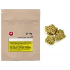 Divvy Flo New Arrivals