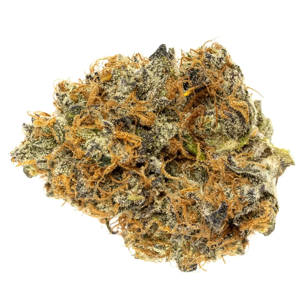 Nith & Grand New Arrivals Do-Si-Dos 3 Nith & Grand New Arrivals Do-Si-Dos