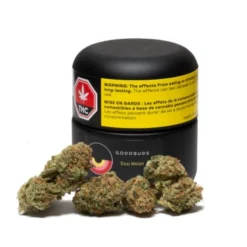 Good Buds Co New Arrivals Dosi Melon