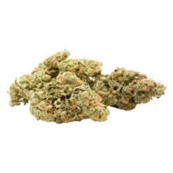 Good Buds Co New Arrivals Dosi Melon