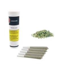 Emerald Health Durga Mata PR 5 X 0.5 G Pre-Rolls