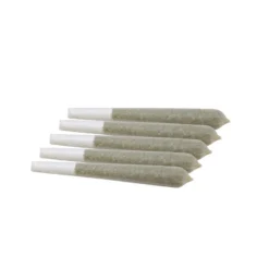 Emerald Health Durga Mata PR 5 X 0.5 G Pre-Rolls