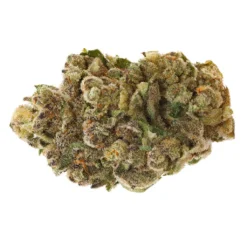 San Rafael '71 Farm Gas New Arrivals