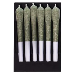 Station House Variety Pack PR 12 X 0.5 G