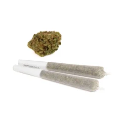 Liiv Organics Pre-Rolls Easy Cheesy PR 1 X 1 G