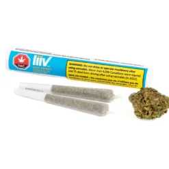Liiv Organics Pre-Rolls Easy Cheesy PR 1 X 1 G