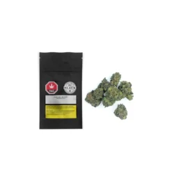 BC Black Okanna Craft - Mac Flurry New Arrivals