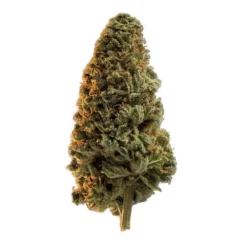 Edison Cannabis Co Casa Blanca Mongolian Reserve