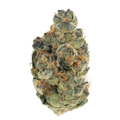 Edison Cannabis Co GMO Cookies