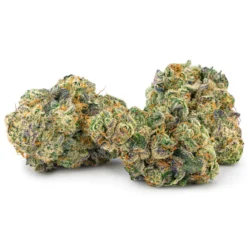 Edison Cannabis Co MAC 1 New Arrivals