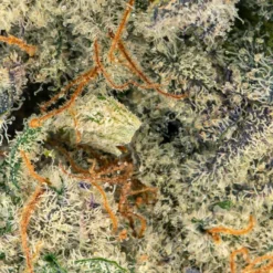 Edison Cannabis Co MAC 1 New Arrivals