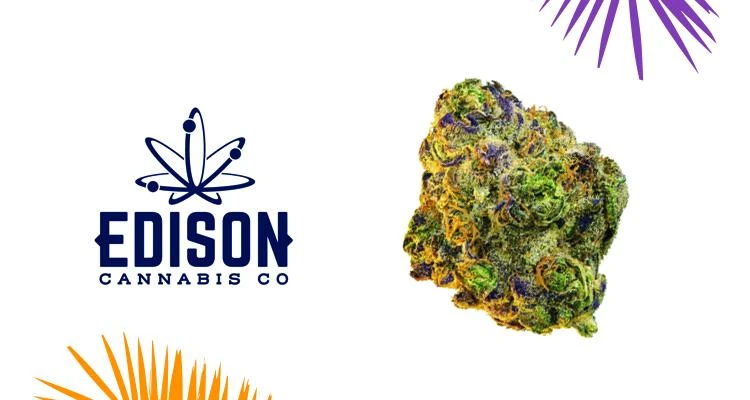 Edison Cannabis Co Slurricane 5 Edison Cannabis Co Slurricane