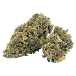 BC Black Hawaiian Pineapple New Arrivals