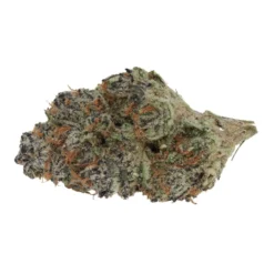 New Arrivals Elios Black Cherry Punch