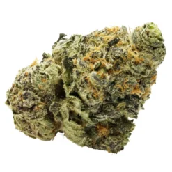 DOJA - CA Garlic Chem New Arrivals