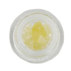 TRX Wook Breath New Arrivals