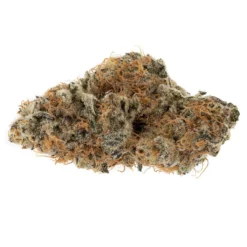 OGEN Dosi-GMOsi #13 New Arrivals