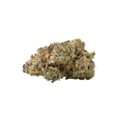 Palmetto New Arrivals Lemon Royale