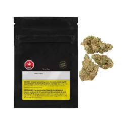 North 40 Cannabis Farm Gas New Arrivals