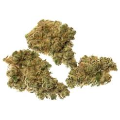 North 40 Cannabis Farm Gas New Arrivals